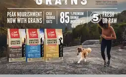 Petvalu ORIJEN Amazing Grain Dry Dog Food offer