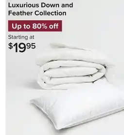 Linen Chest Luxurious Down and Feather Collection offer