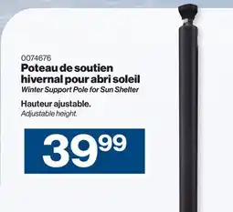 Patrick Morin Winter Support Pole for Sun Shelter offer
