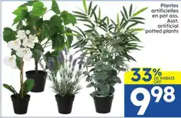Rossy Asst. artificial potted plants offer