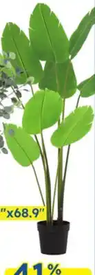 Rossy POTTED TREE offer
