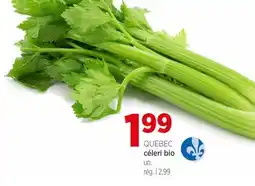 Avril QUÉBEC céleri bio offer