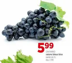 Avril raisins bleus bios offer