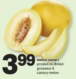 L'Intermarché MELON CANARI | CANARY MELON offer