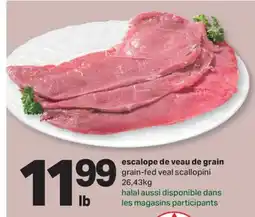 L'Intermarché ESCALOPE DE VEAU DE GRAIN | GRAIN-FED VEAL SCALLOPINI offer