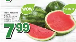 L'Intermarché MELON D'EAU SANS PÉPINS, GROSSEUR 36 | SEEDLESS WATERMELON offer