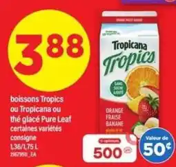 Maxi Tropicana Tropics offer