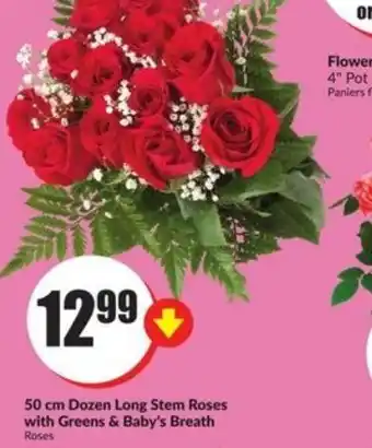 FreshCo 50cm Dozen long stem roses offer