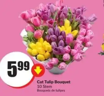 FreshCo Cut tulip bouquet offer