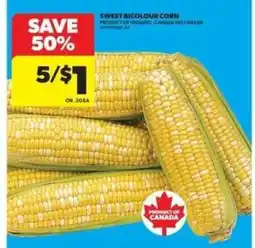 Real Canadian Superstore Sweet bicolour corn offer