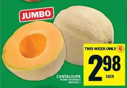 Food Basics JUMBO CANTALOUPE offer