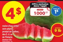 Maxi MELON D'EAU ENTIER SANS PÉPINS, 9 lb offer