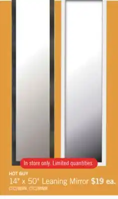 The Brick 14 x 50 Leaning Mirror offer