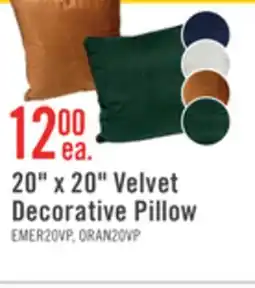 The Brick 20 x 20 Velvet Decorative Pillow offer