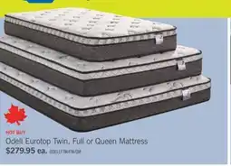 The Brick Springwall Odell Eurotop Twin Mattress offer