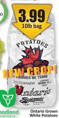 Starsky Ontario Grown White Potatoes offer