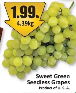 Starsky Sweet Green Seedless Grapes offer