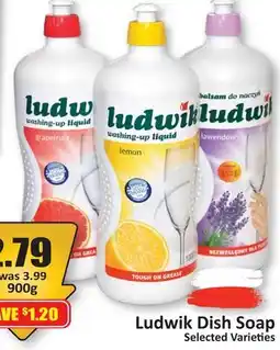 Starsky Ludwik Dish Soap offer