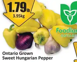 Starsky Ontario Grown Sweet Hungarian Pepper offer