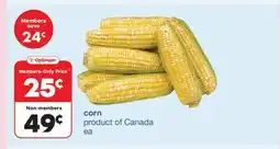 Wholesale Club Corn offer