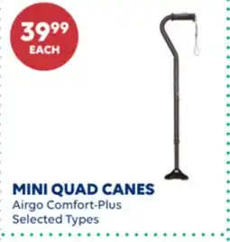 Wellwise by Shoppers MINI QUAD CANES offer