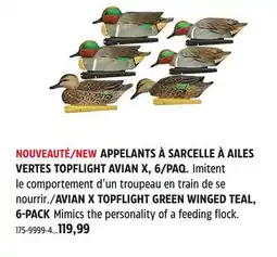 Canadian Tire AVIAN X TOPFLIGHT GREEN WINGED TEAL, 6-PACK offer