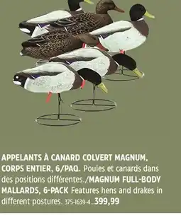 Canadian Tire MAGNUM FULL-BODY MALLARDS, 6-PACK offer