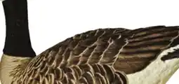 Canadian Tire AVIAN X TOPFLIGHT FLOATER HONKERS, 4-PACK offer