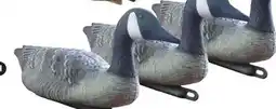 Canadian Tire Huntshield GOOSE DECOYS offer