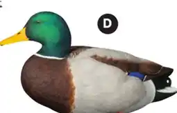 Canadian Tire AVIAN X TOPFLIGHT FULL-BODY MALLARDS offer