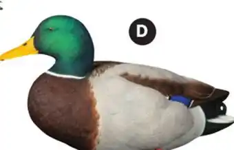 Canadian Tire AVIAN X TOPFLIGHT FULL-BODY MALLARDS offer