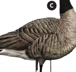 Canadian Tire AVIAN X TOPFLIGHT HONKER DECOYS offer