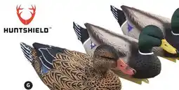Canadian Tire MALLARD DECOYS HUNTSHIELD offer