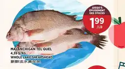 Kim Phat WHOLE LAKE SHEAPSHEAD offer