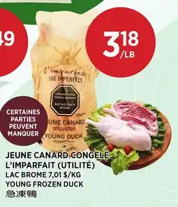 Kim Phat LAC BROME YOUNG FROZEN DUCK offer