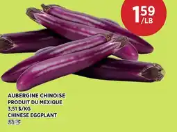 Kim Phat CHINESE EGGPLANT offer