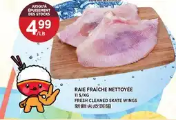 Kim Phat FRESH CLEANED SKATE WINGS offer