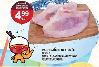 Kim Phat FRESH CLEANED SKATE WINGS offer