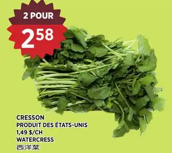 Kim Phat WATERCRESS offer