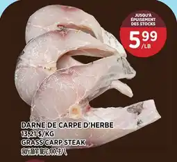 Kim Phat GRASS CARP STEAK offer