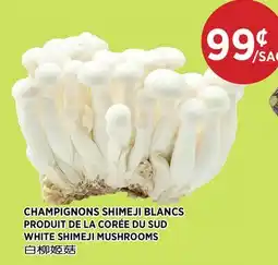 Kim Phat WHITE SHIMEJI MUSHROOMS offer