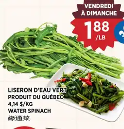 Kim Phat WATER SPINACH offer