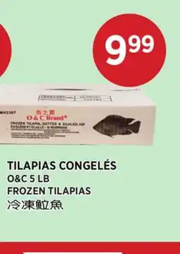 Kim Phat O&C FROZEN TILAPIAS offer