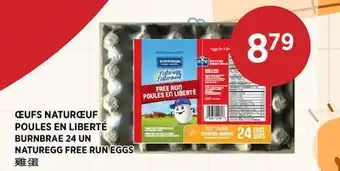 Kim Phat BURNBRAE NATUREGG FREE RUN EGGS offer