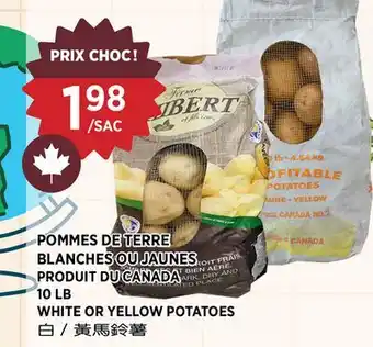 Kim Phat WHITE OR YELLOW POTATOES offer