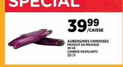 Kim Phat CHINESE EGGPLANTS offer