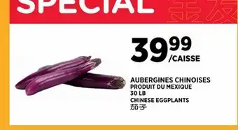 Kim Phat CHINESE EGGPLANTS offer