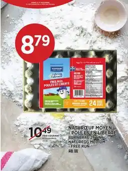 Kim Phat BURNBRAE NATUREGG MEDIUM - FREE RUN offer