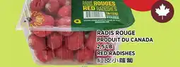 Kim Phat RED RADISHES offer