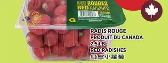 Kim Phat RED RADISHES offer
